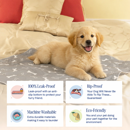 PuppyPad - The Last Pee Pad You'll Get